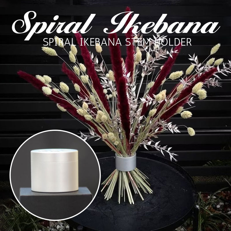 Silver- Spiral Ikebana Stem Holder